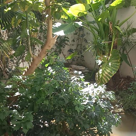 Apartament Belgrano Buenos Aires Zewnętrze zdjęcie